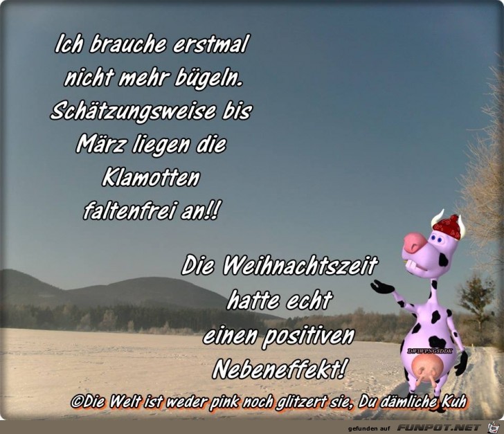 Brauche nicht mehr buegeln Brauche nicht mehr buegeln