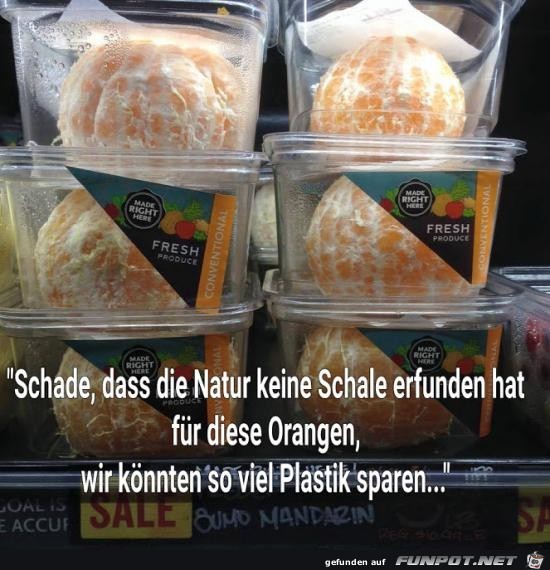 Sehr schade