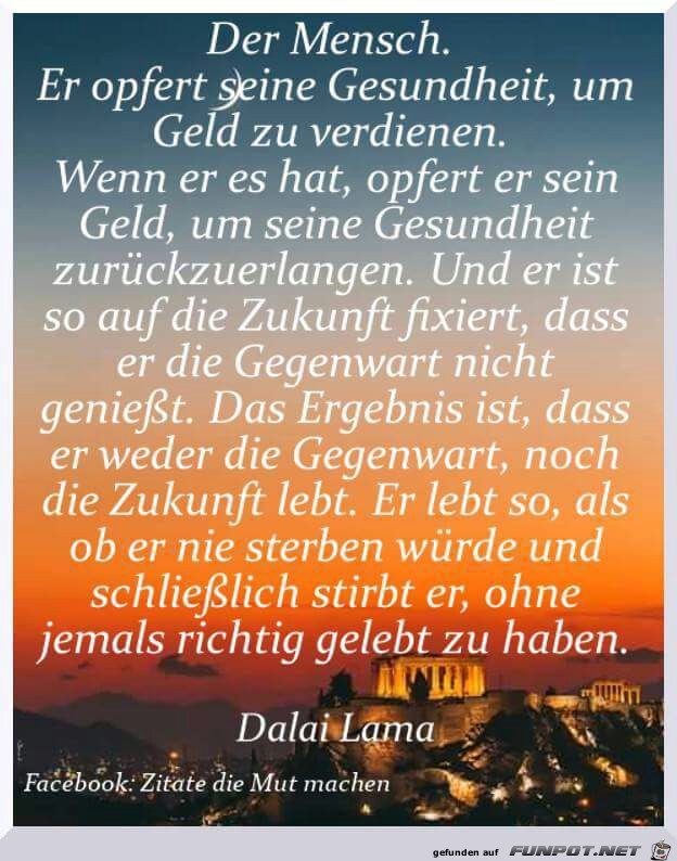 Der Mensch Der Mensch