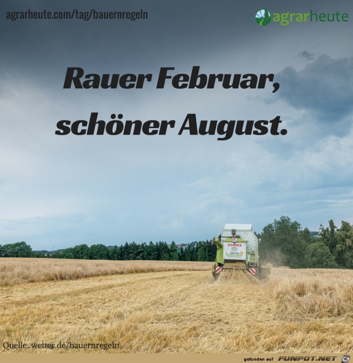 Bauernregel Februar