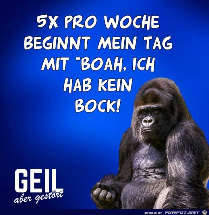 5 X pro Woche 5 X pro Woche