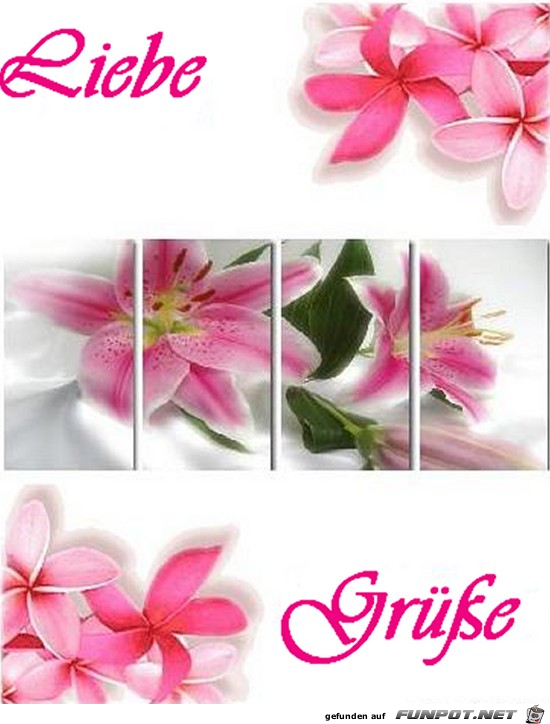 liebe Grüsse..... liebe Grüsse.....