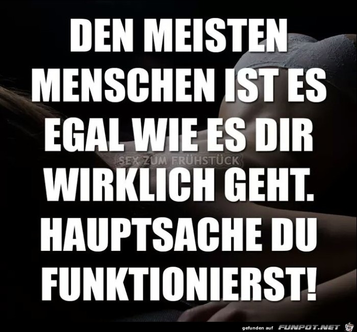 Egal Egal