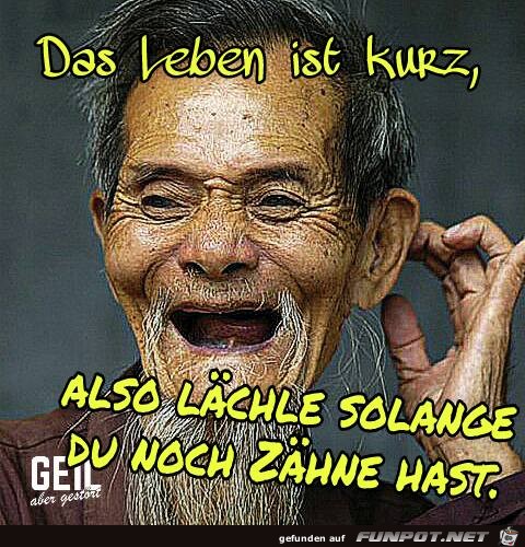 Das Leben ist kurz