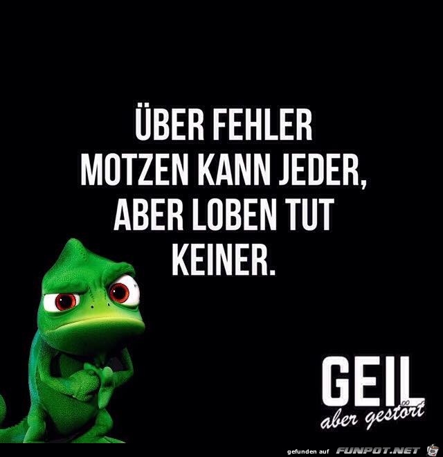 Ueber Fehler motzen Ueber Fehler motzen