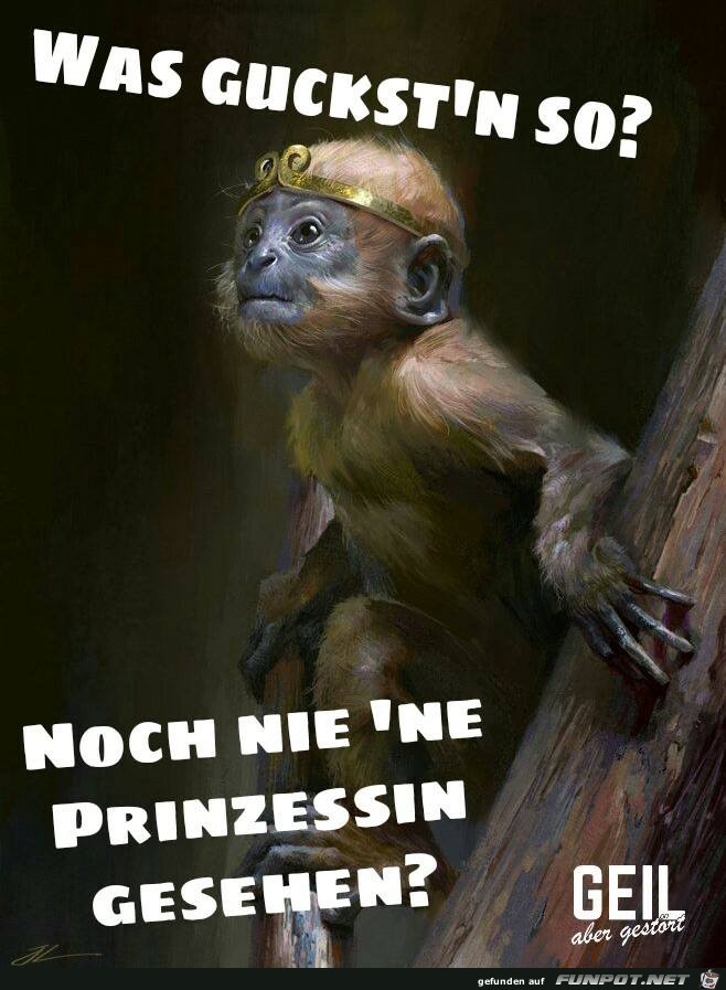 Was guckstn so Was guckstn so