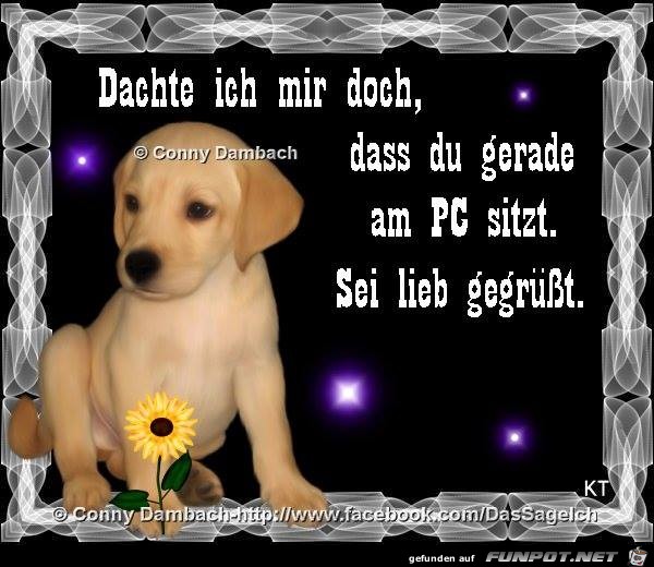 Dachte ich mir doch Dachte ich mir doch