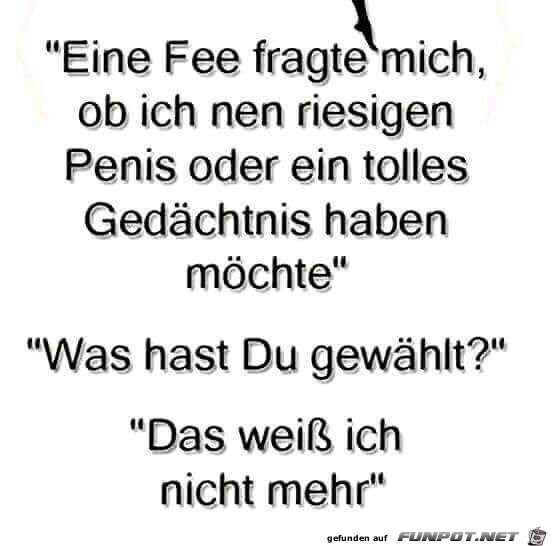 Die Fee fragte Die Fee fragte