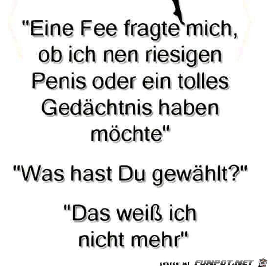 Die Fee fragte