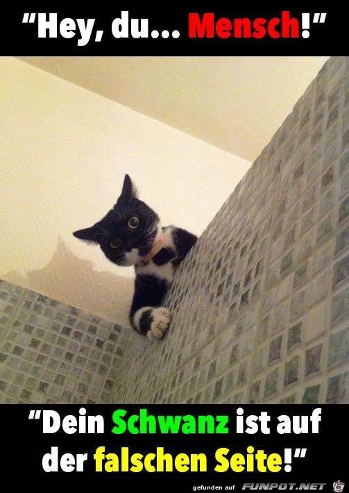 Hey, Du Mensch Hey, Du Mensch