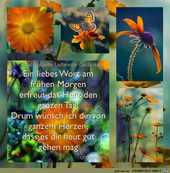 Ein liebes Wort am fruehen Morgen Ein liebes Wort am fruehen Morgen
