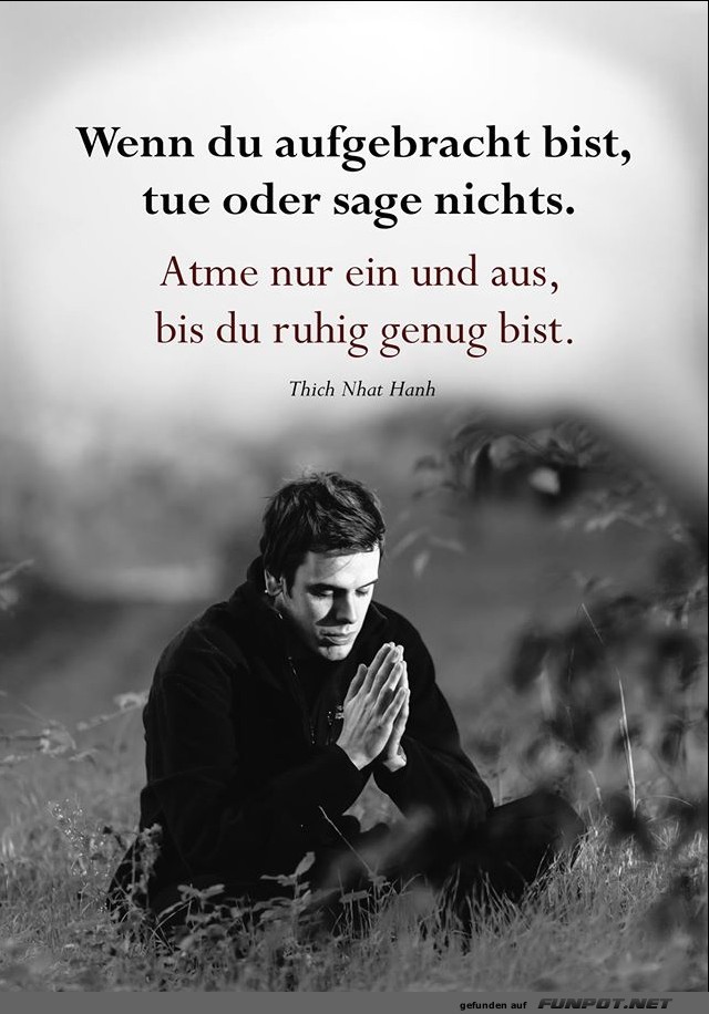 10 schöne Sprüche und Lebensweisheiten aus... 10 schöne Sprüche und Lebensweisheiten aus...