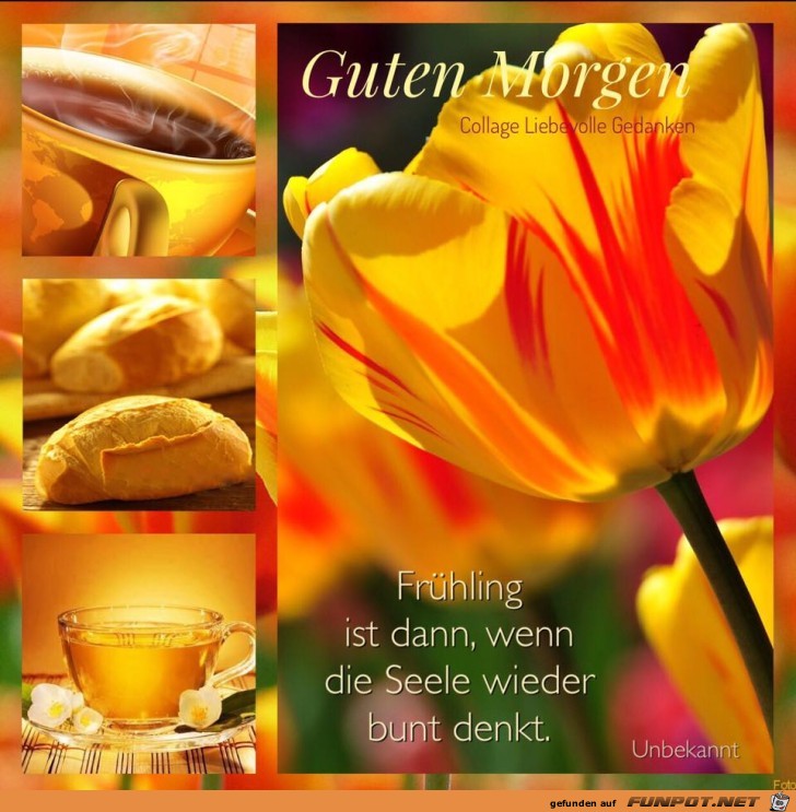 Guten Morgen Guten Morgen