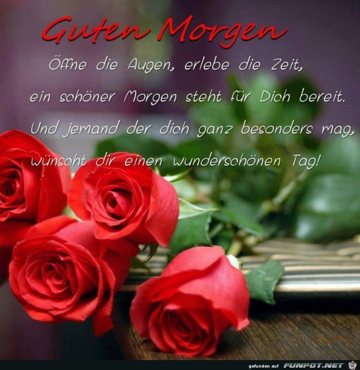 Guten Morgen 1 Guten Morgen 1