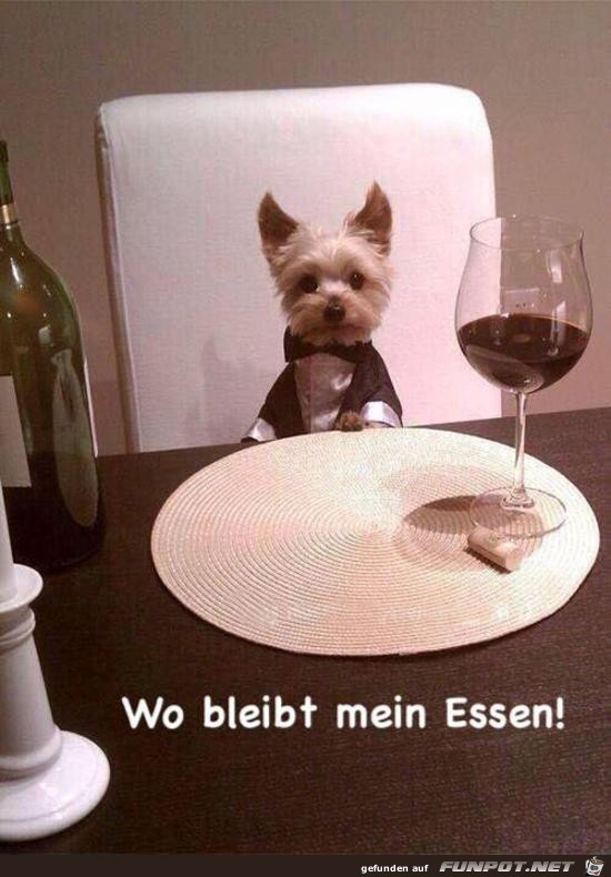 Wo bleibt mein Essen Wo bleibt mein Essen