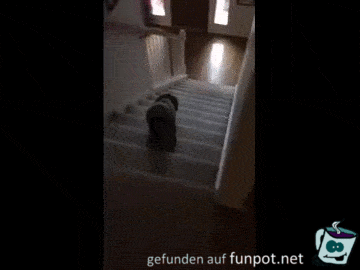 Aber die letzten Stufen spring ich Aber die letzten Stufen spring ich