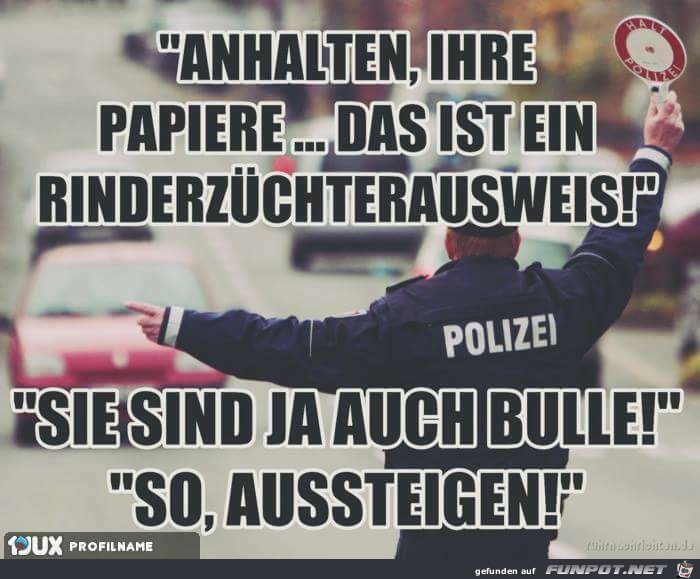 Polizeikontrolle Polizeikontrolle