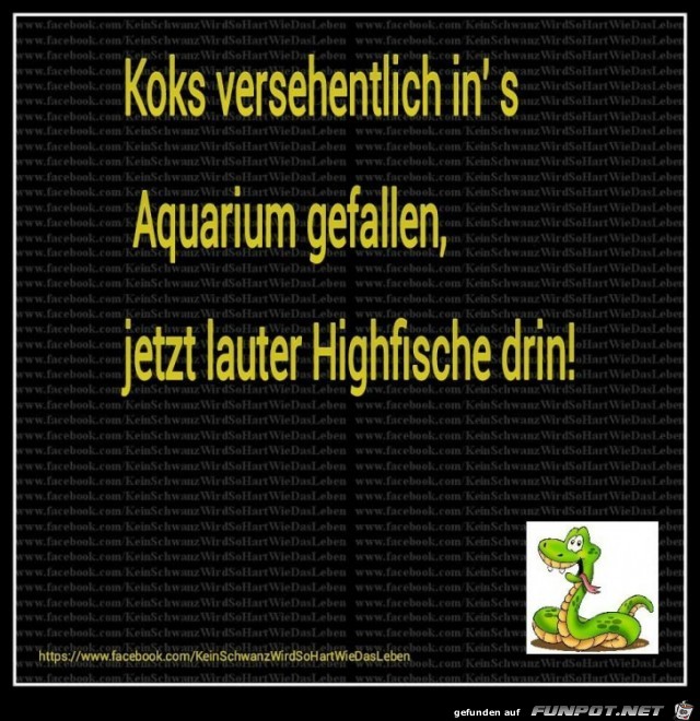 Koks versehentlich Koks versehentlich