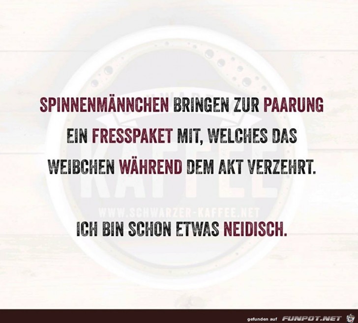 Neidisch Neidisch