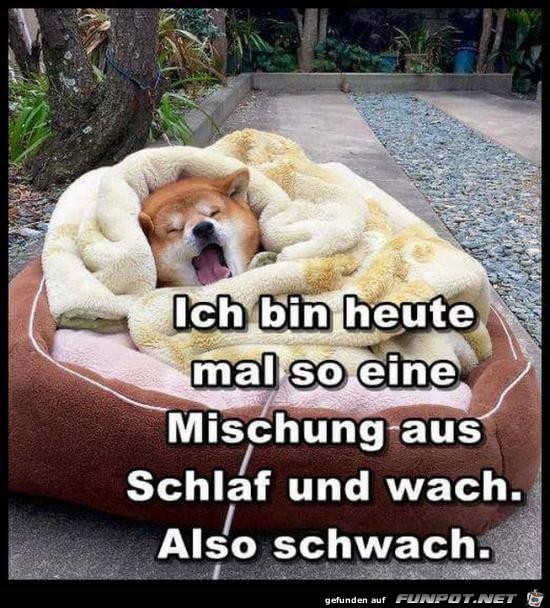 Schwach Schwach