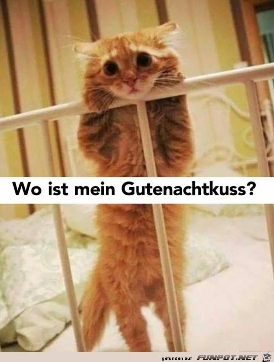 Her mit meinem Kuss Her mit meinem Kuss