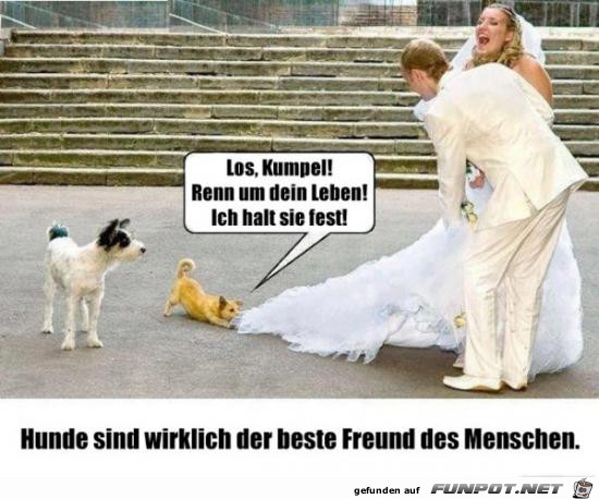Der beste Freund des Menschen Der beste Freund des Menschen