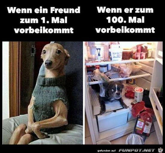 Der kleine Unterschied Der kleine Unterschied