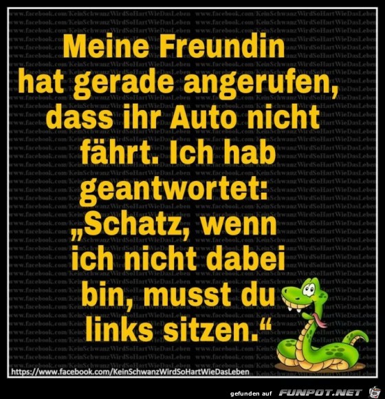 Meine Freundin Meine Freundin