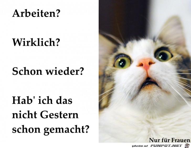 Gestern gemacht Gestern gemacht