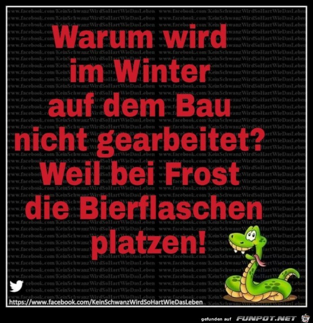 Warum im Winter