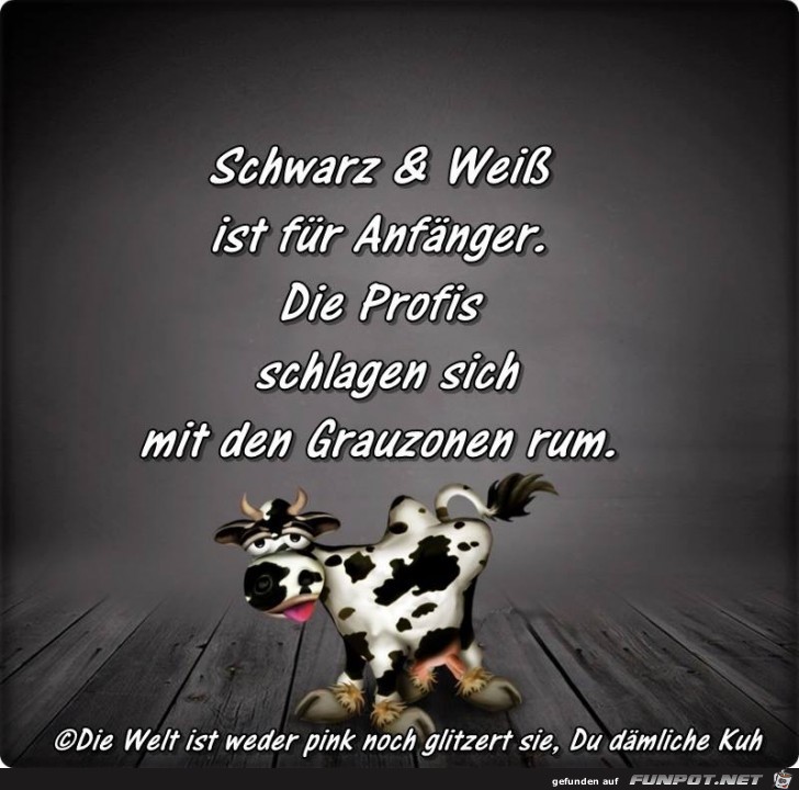 Schwarz Weiss Schwarz Weiss