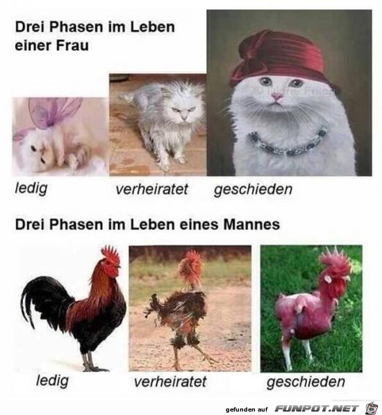 drei Phasen im Leben einer Frau.......