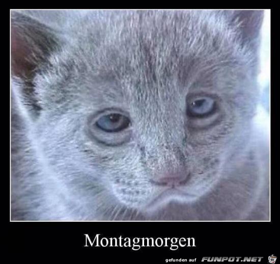 Montag Montag