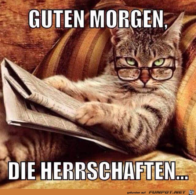 Guten morgen die Herrschaften Guten morgen die Herrschaften