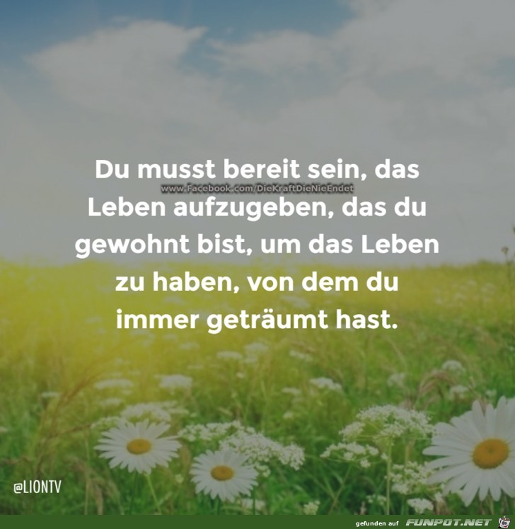 Du must bereit sein Du must bereit sein