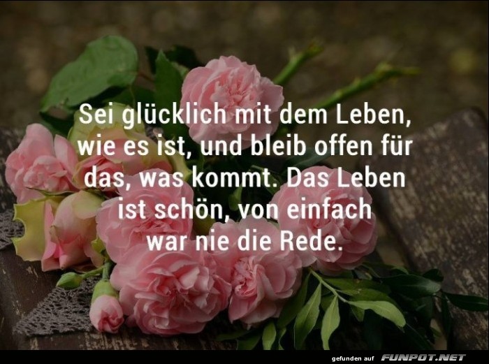 Sei gluecklich mit dem Leben