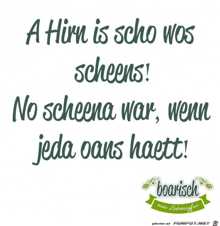 Ein Hirn Ein Hirn