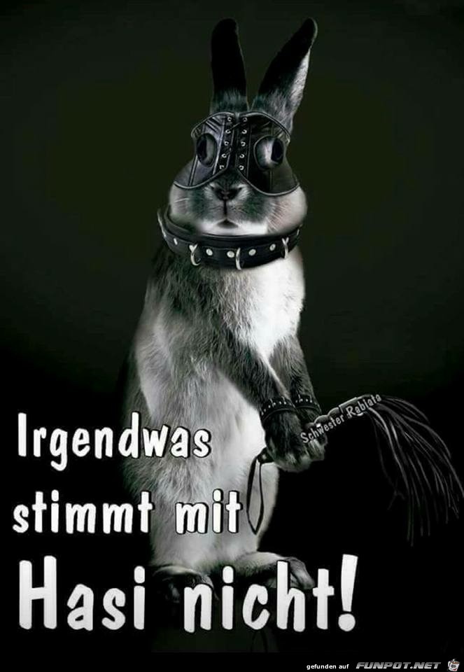 Hasi Hasi