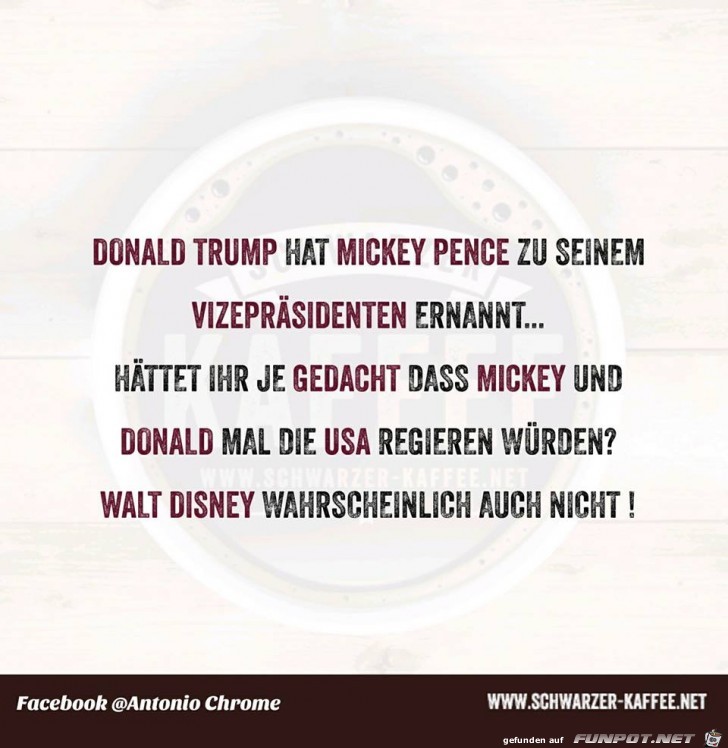 Donald und Mickey