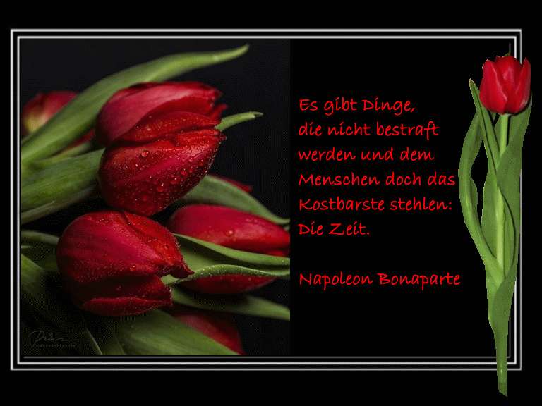 es gibt Dinge, die nicht bestraft werden....... es gibt Dinge, die nicht bestraft werden.......