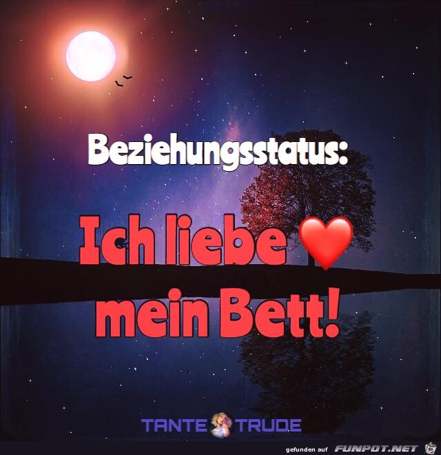 Beziehungsstatus Beziehungsstatus