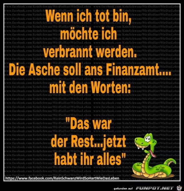 Die Asche soll ans Finanzamt Die Asche soll ans Finanzamt