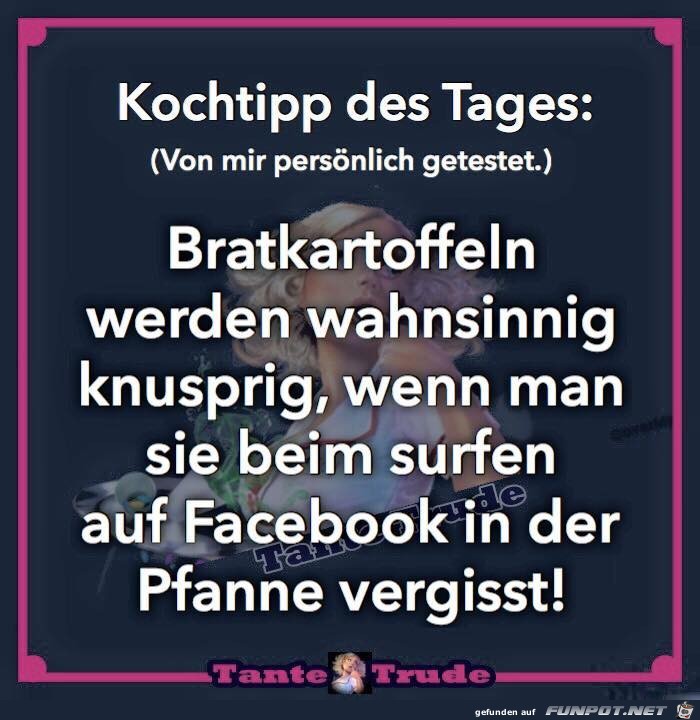 Kochtipps des Tages Kochtipps des Tages