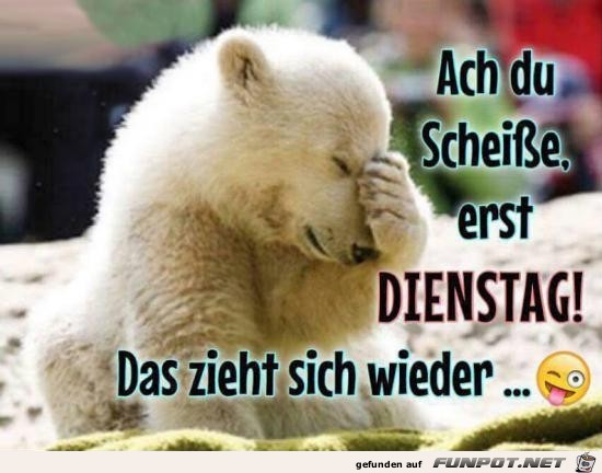 Erst Dienstag