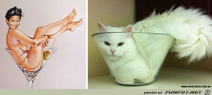 Blöde Katze Blöde Katze