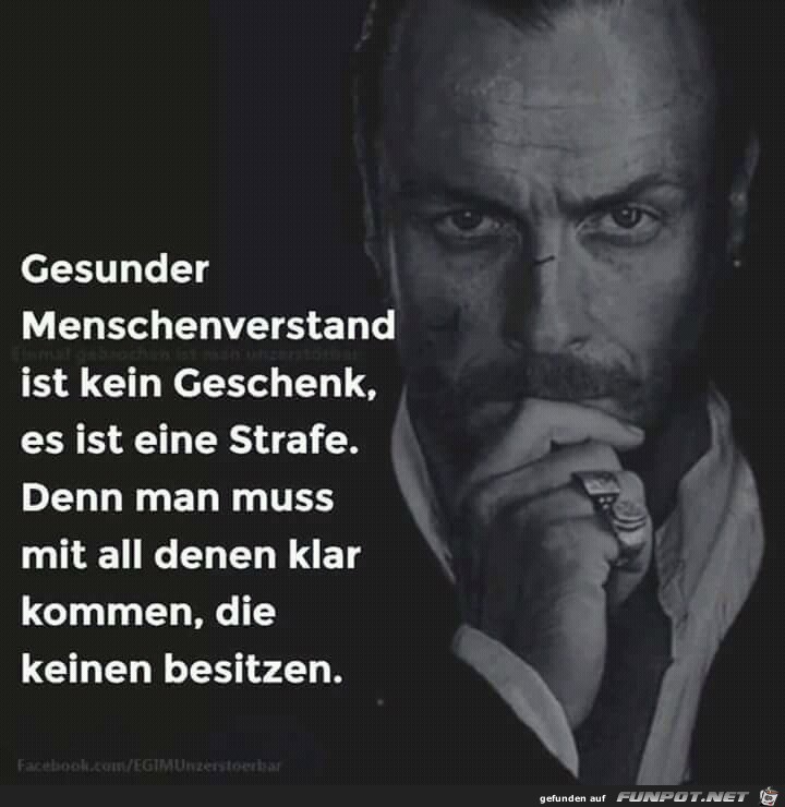 Gesunder Menschenverstand