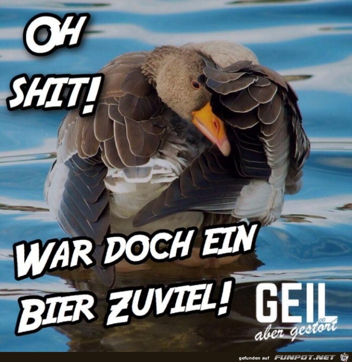 Ein Bier zu viel Ein Bier zu viel