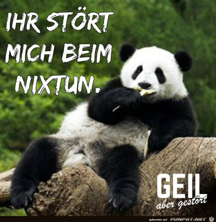 Ihr stoert mich Ihr stoert mich