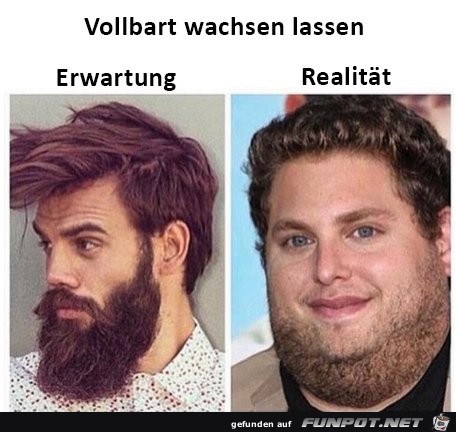 Vollbart