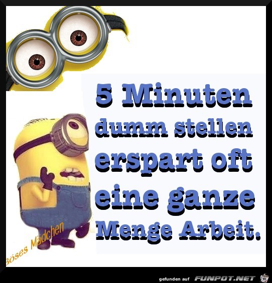 5 Minuten dumm stellen